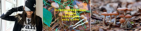 меф Алексин