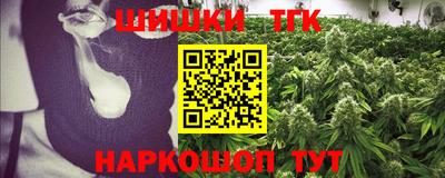 крисы Кингисепп
