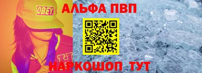 крисы Кингисепп