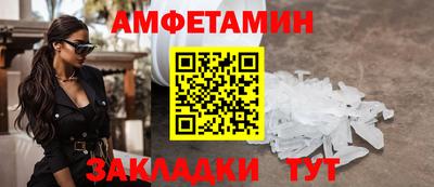 крисы Кингисепп
