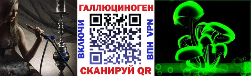 Галлюциногенные грибы Psilocybine cubensis  Шадринск 