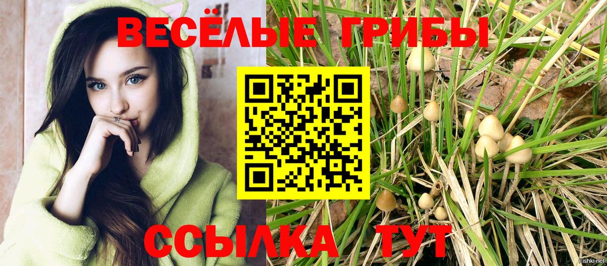 Шадринск  Псилоцибиновые грибы Cubensis  Вход с VPN 