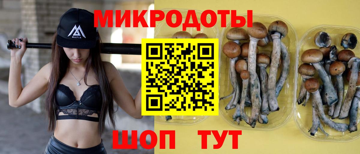 Псилоцибиновые грибы мицелий Шадринск